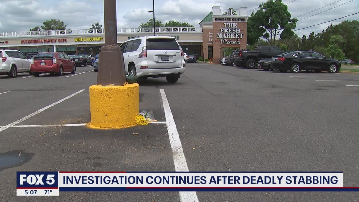 Investigation continues into deadly stabbing of student in Alexandria